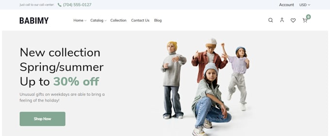 build and revamp 7 figure shopify dropshipping website
