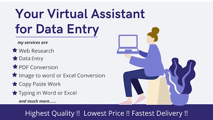 provide pro virtual assitance