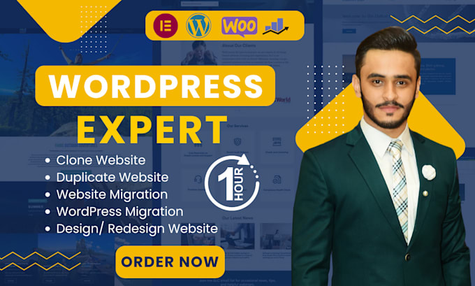 copy clone website, wordpress website migration, redesign 1 hour
