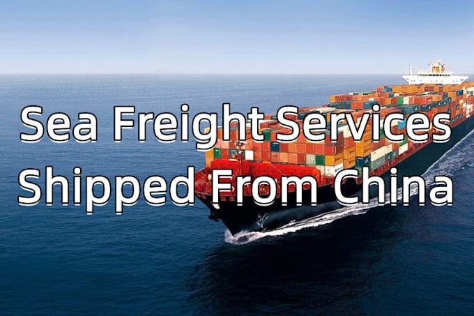 provide sea freight services from china