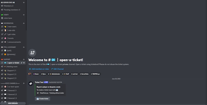 make a discord server for you