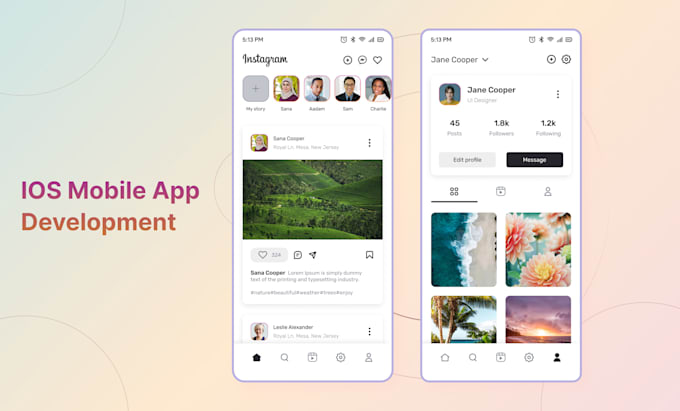 create a professional flutter and ios native application