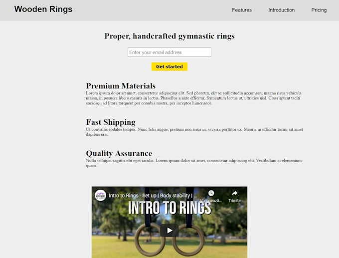 Build a basic website using html and css by Andreiaac | Fiverr