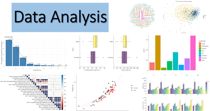 Do your data analysis in r by Marioxis | Fiverr