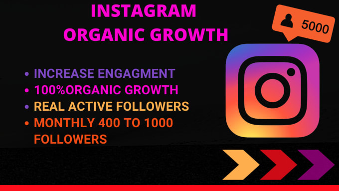 do insta promotion organically to boost targeted followers