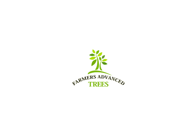 create an awesome tree logo for our tree business
