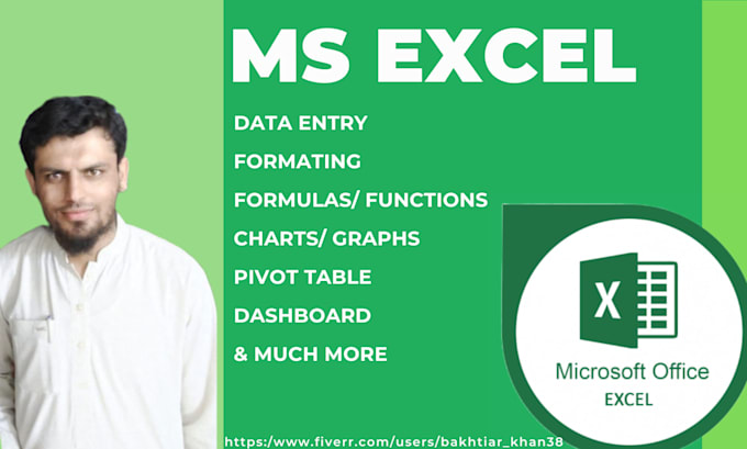Do data entry in excel and apply excel formulas by Bakhtiar_khan38 | Fiverr