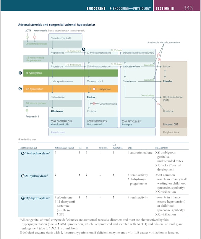 Teach you the first aid book for usmle step 1 by Usama6600 Fiverr
