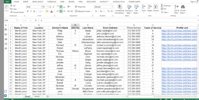Excel sheet data entry for you by Fizzajabeen | Fiverr