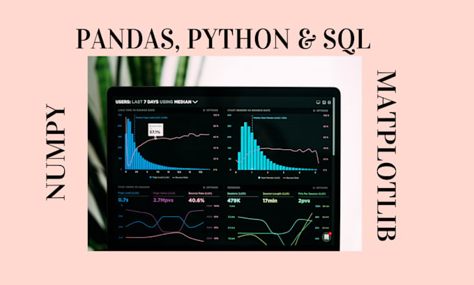 Do data analysis using pandas, excel, python and sql by Son444444 | Fiverr