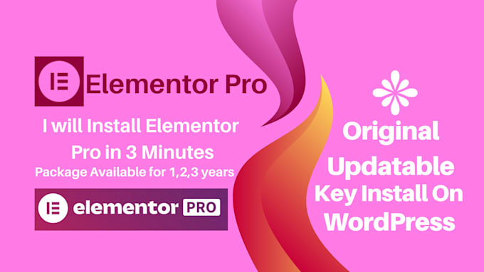 install elementor pro plugin updatable