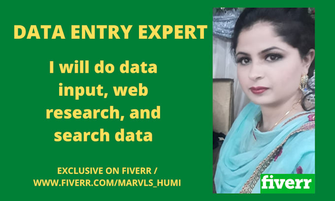 do data input, web research, and search data