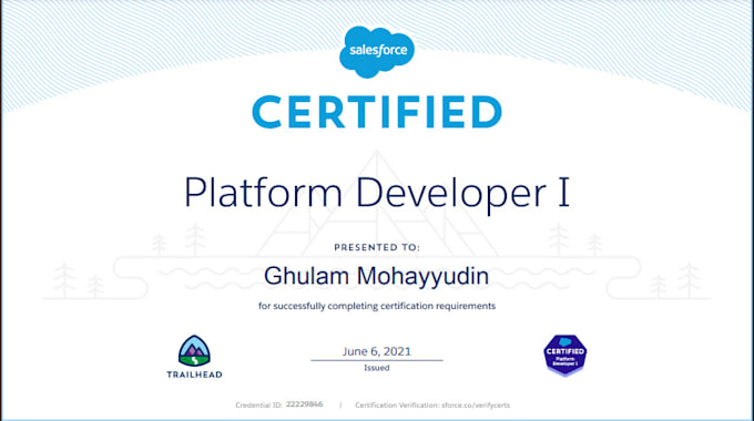be your salesforce developer