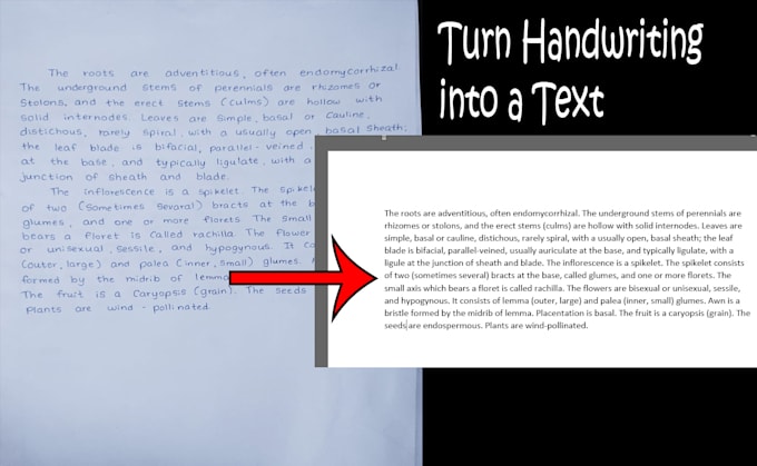 Convert your handwriting or text picture into digital text by ...