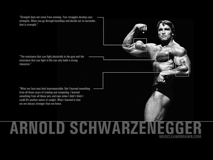 make workout plan to gain muscle and mass