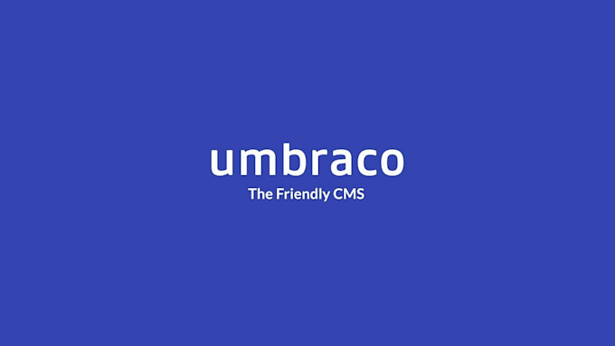 develop, fix or maintain your umbraco website