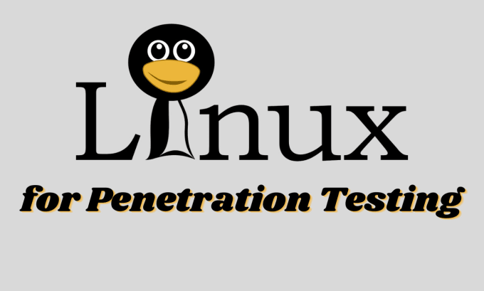 teach you kali linux for penetration testing