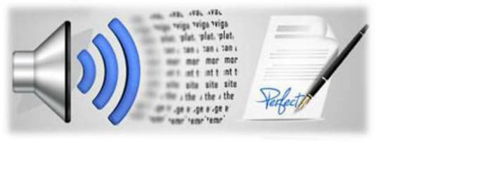 write top quality transcripts for any dutch or english audio or video