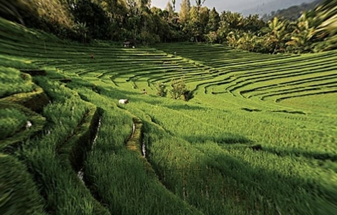 plan your trip to Indonesia