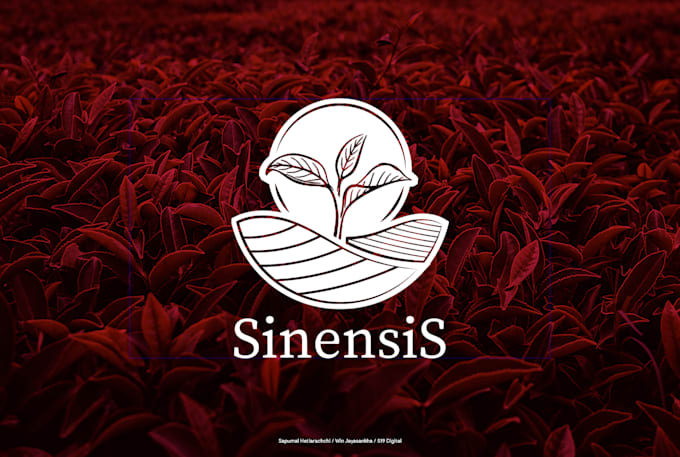 design modern logo and branding kit