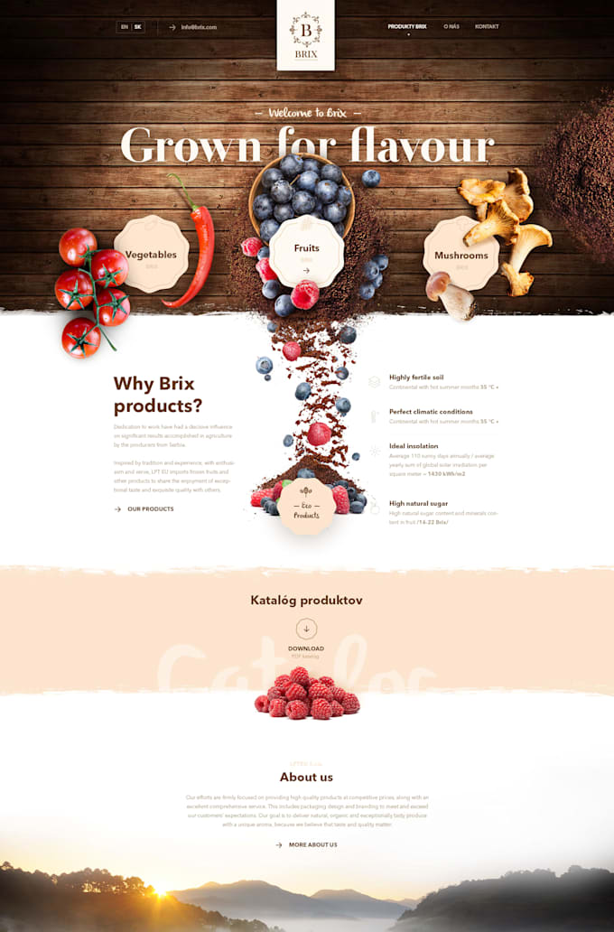 Create the website using html css and javascript by Deepsengar | Fiverr