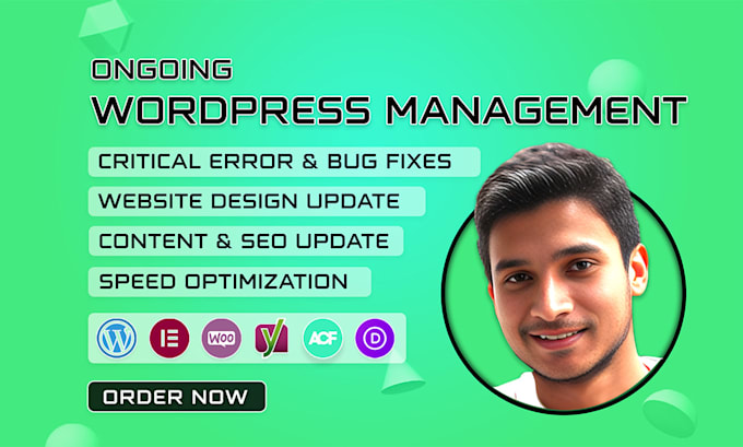 fix wordpress bugs, speed up, and provide site maintenance