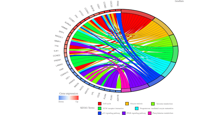 Bioinformatics analysis using python and r by Dnyamai | Fiverr