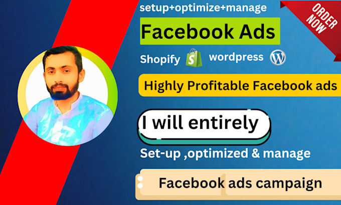 set up highly profitable and impessive facebook ads campaign sales and leads
