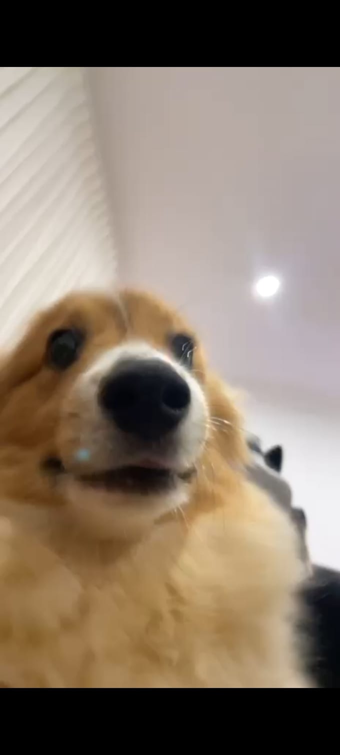 Design a prototype for your mobile app by Jeremysariaatma Fiverr