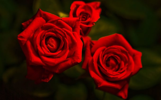 write you a Valentines Day message or poem