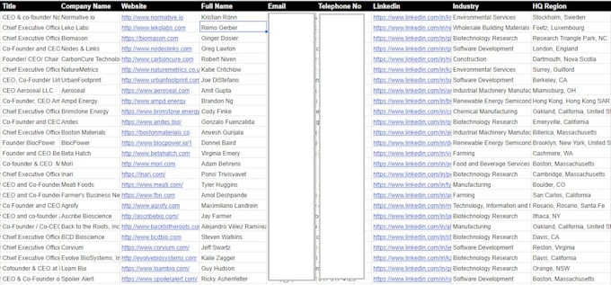 provide b2b saas lead generation