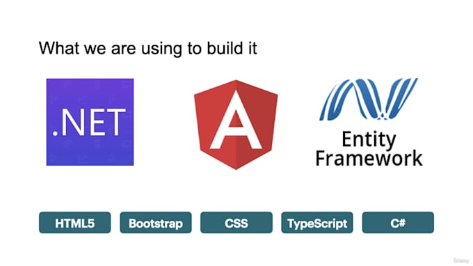 Be your full stack web developer in angular, dotnet core, donet web api ...