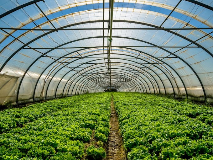 develop a investor ready greenhouse farming business plan