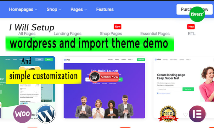 full setup wordpress themes and plugins