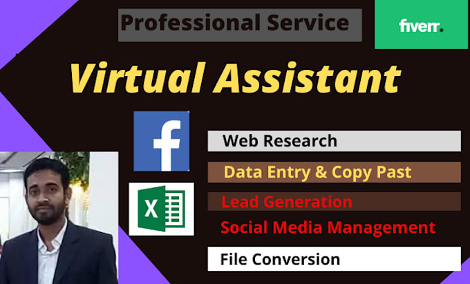 be your virtual assistant for data entry, web research