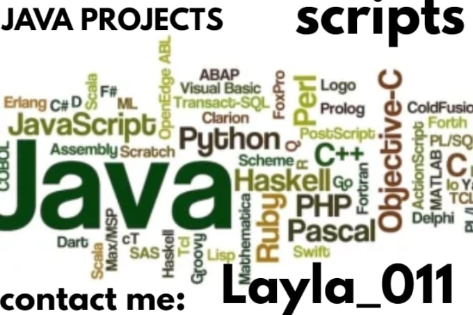 Do your c, cpp, java, python, web projects and tasks by Layla_011 | Fiverr