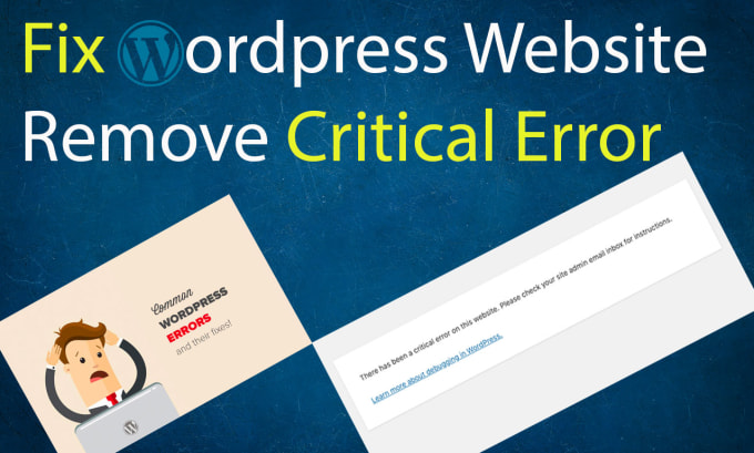 Fix wordpress errors and wordpress website issues by Faranwaseem | Fiverr