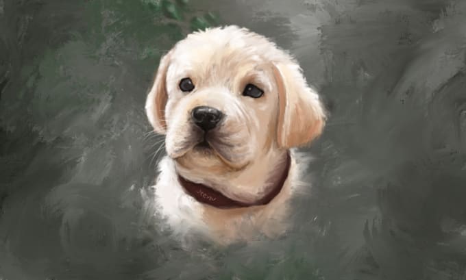 do painterly pet portrait with a short video in 24 hours