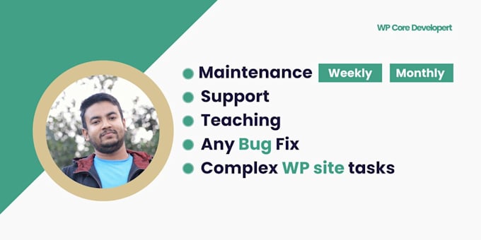 maintenance your wordpress website weekly and monthly