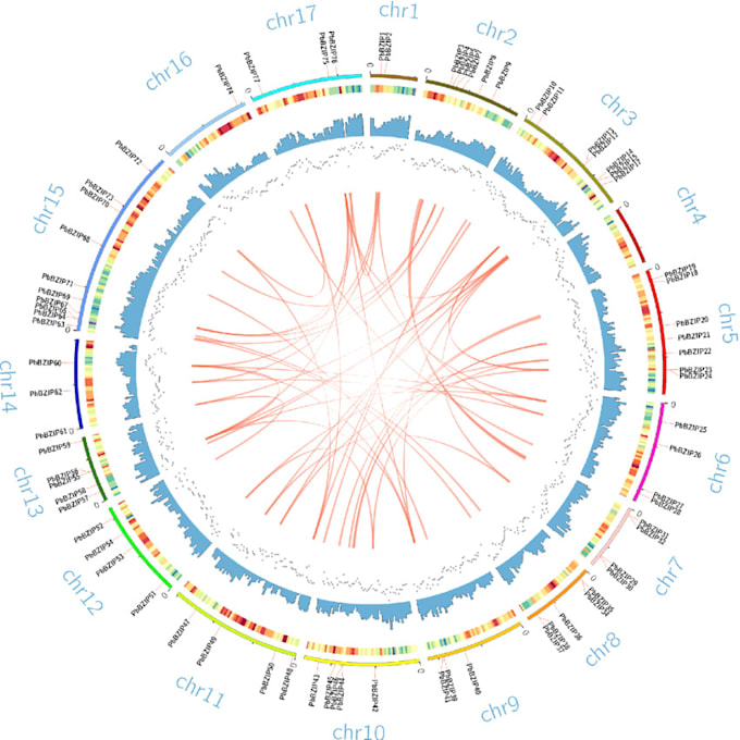 do bioinformatic analysis with any type data
