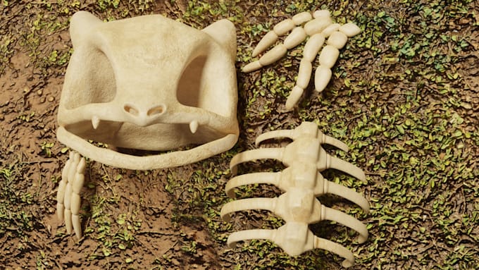 create 3d models of bones skulls and skeletons