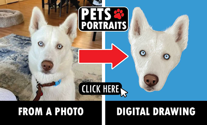 turn your pet into a digital artwork