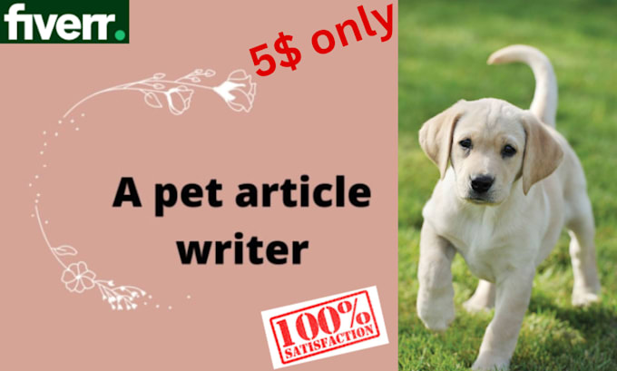 write SEO articles and blogs on your pets
