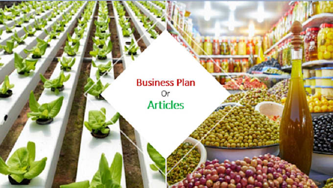 write a business plan for olive oil as well as hydroponic