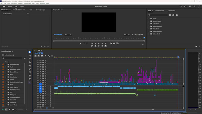 do professional video editing on a long term basis