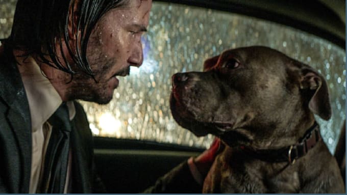 do an urgent analysis of cinematography , editing and sound in a film