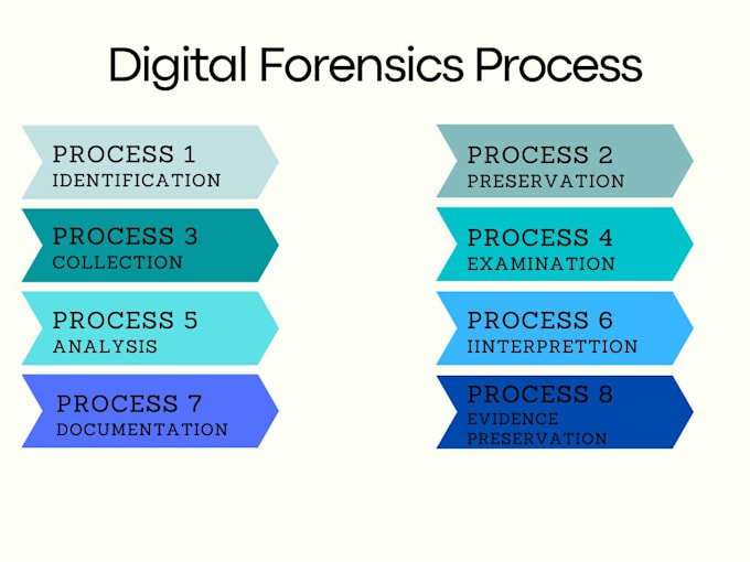 Cd/digital Forensics Example Perform digital forensics analysis by Alizaatta | Fiverr