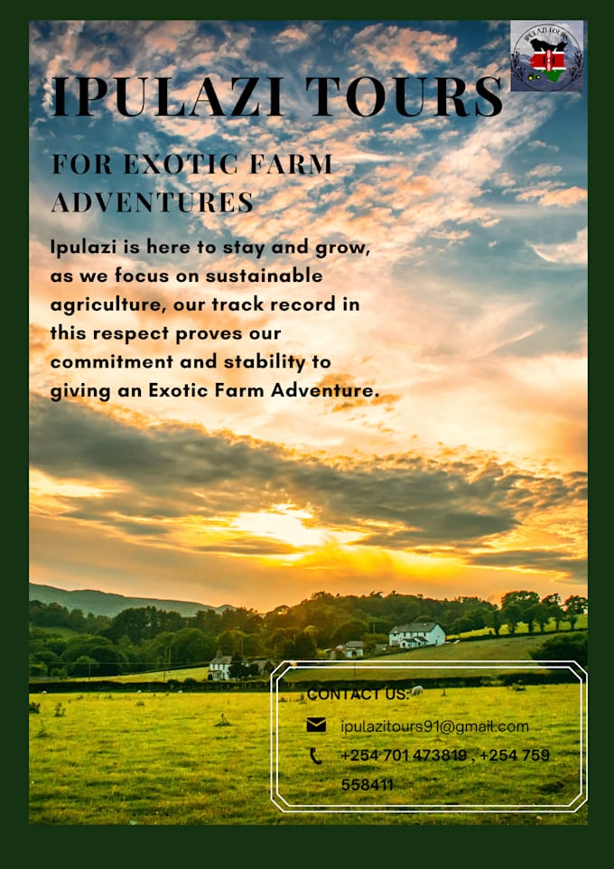 design a professional flyer