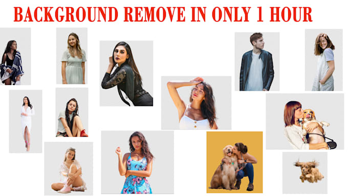 remove background in only 1 hour