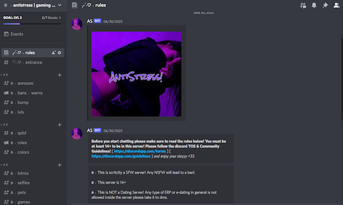 Make an aesthetic discord template for you by Lanistratton Fiverr